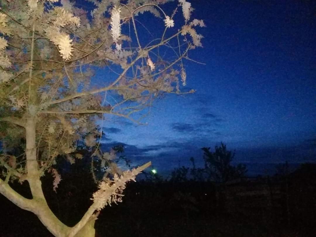 Hosteria El Tisaleno Ambato Dış mekan fotoğraf