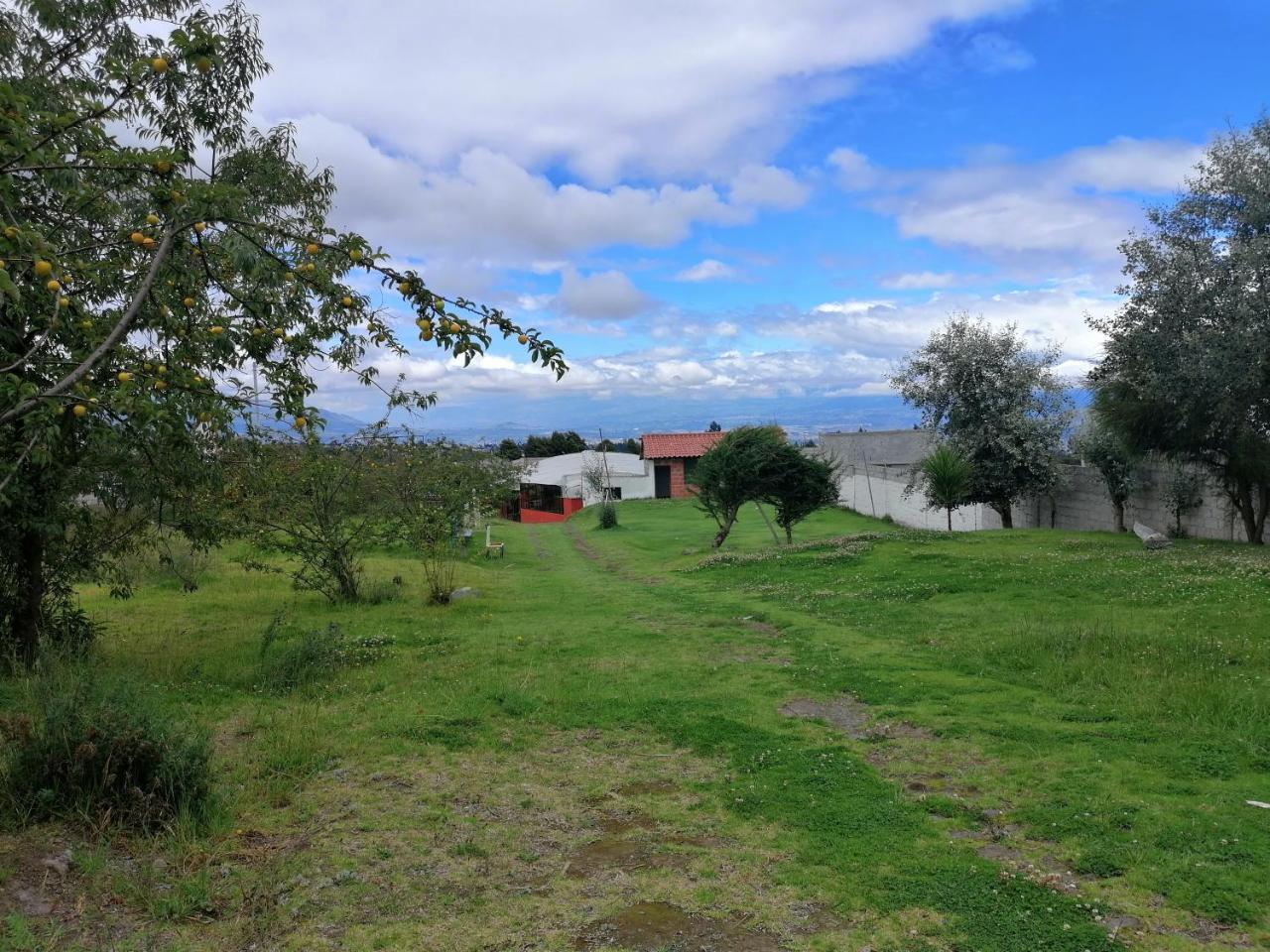 Hosteria El Tisaleno Ambato Dış mekan fotoğraf